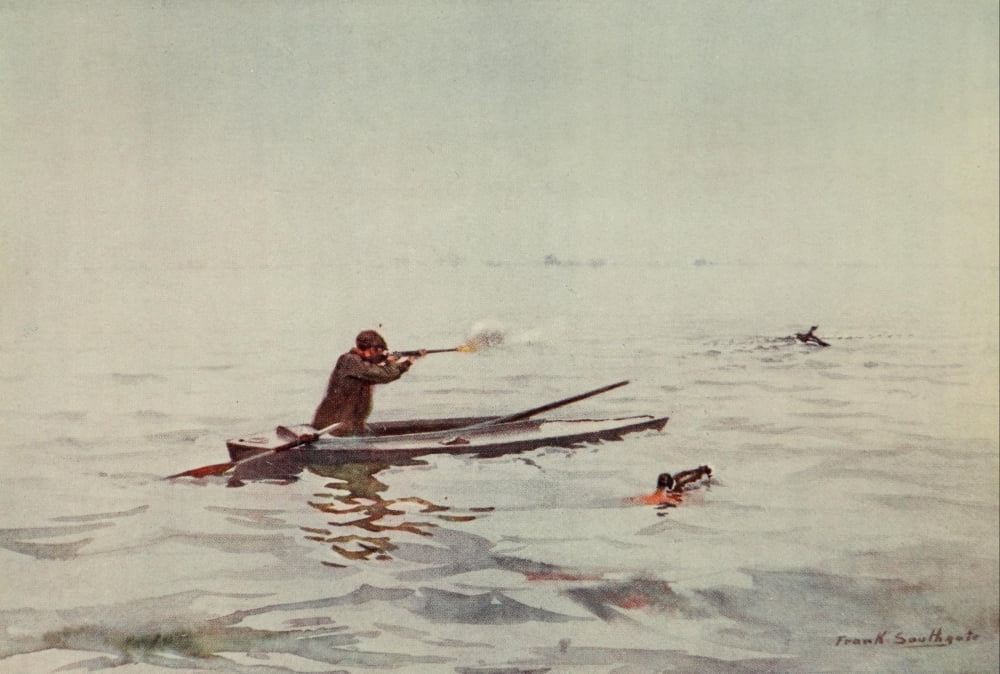 Norfolk Broads 1906 Punt-gunning on Breydon Canvas Art - Frank Southgate (24 x 36)
