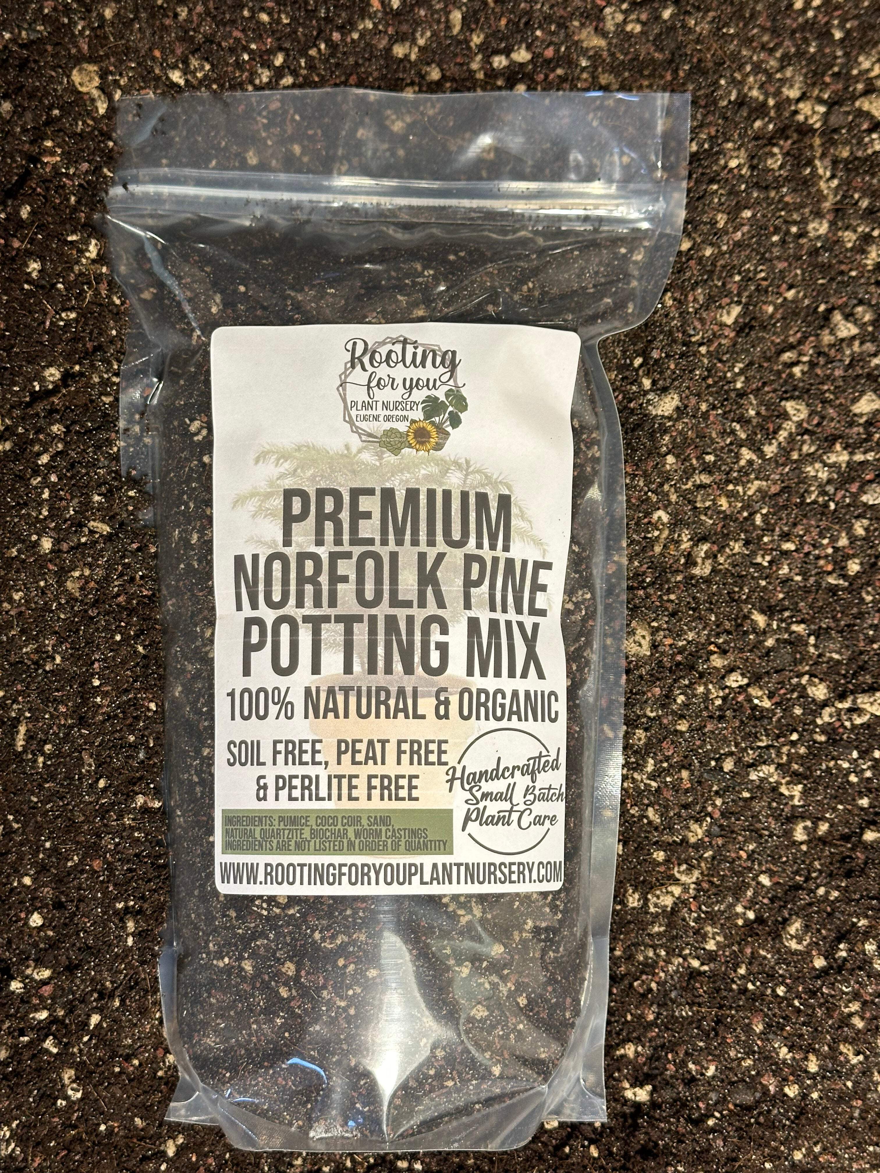 Norfolk Pine Premium Potting Mix - Walmart.com