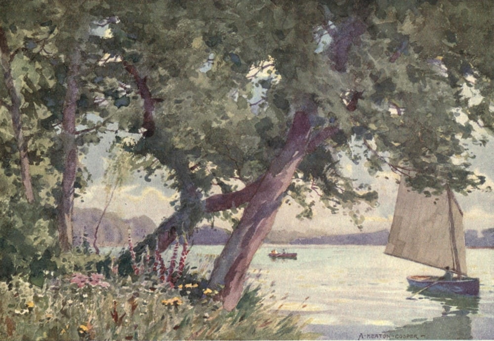 Norfolk & Suffolk 1921 Fritton Lake Canvas Art - Alfred Heaton Cooper (18 x 24)
