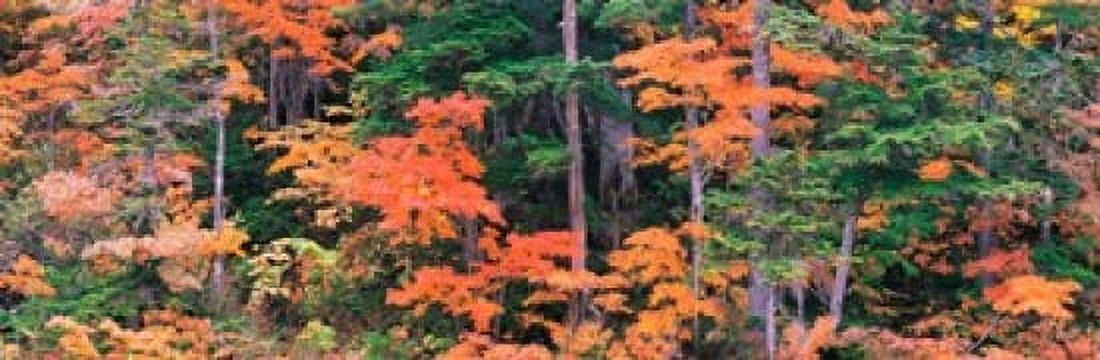Norikura Gifu Japan Canvas Art - Panoramic Images (36 x 12)