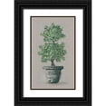 thumbnail image 1 of Norkus, Julie 10x14 Black Ornate Wood Framed with Double Matting Museum Art Print Titled - Double Topiary, 1 of 4