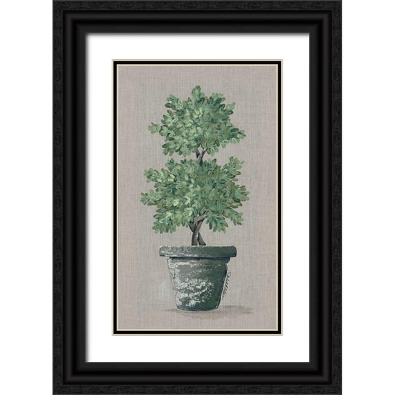 Norkus, Julie 10x14 Black Ornate Wood Framed with Double Matting Museum Art Print Titled - Double Topiary