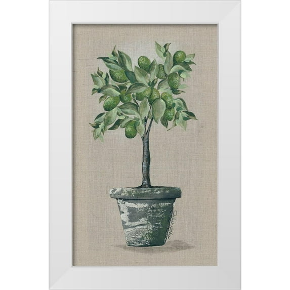 Norkus, Julie 12x18 White Modern Wood Framed Museum Art Print Titled - Lime Tree