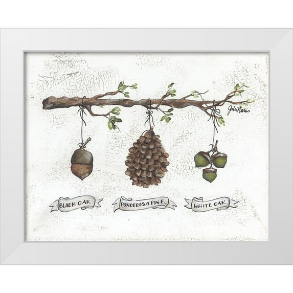 Norkus, Julie 32x26 White Modern Wood Framed Museum Art Print Titled - Pinecone Acorn Study
