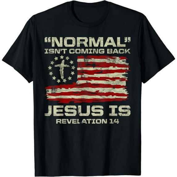 Normal Isn't Coming Back Jesus Is Christian American Flag T-Shirt mens t shirt,black,women,funny,misfits,men,journey,t-shirt