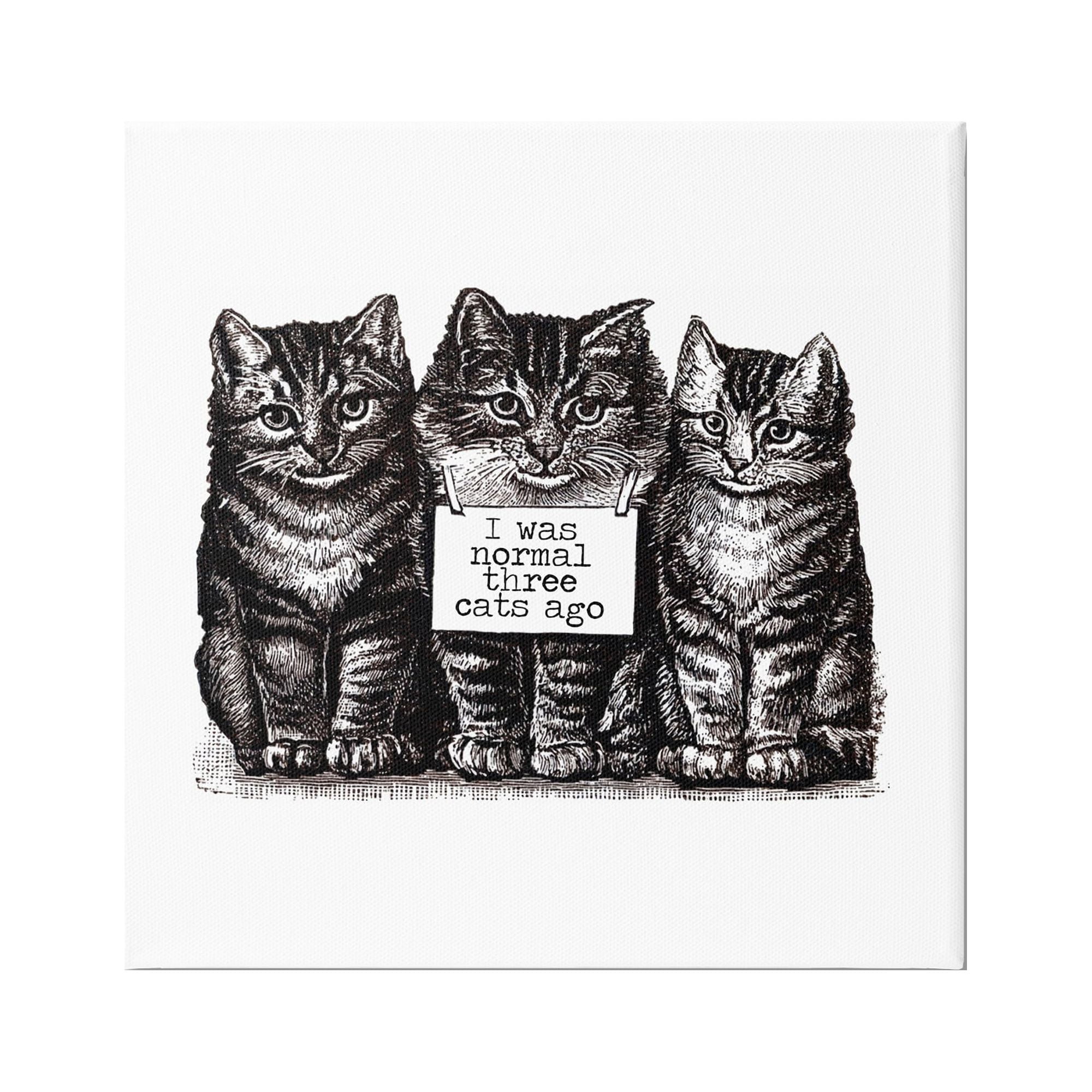 Normal Three Cats Ago Phrase Monochrome Sign Animals & Insects Drawing Print Gallery-Wrapped Canvas Print Wall Art