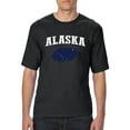 thumbnail image 1 of Normal is Boring - Big Men's T-Shirt, up to Tall Size 3XLT - Alaska Flag, 1 of 5