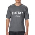 thumbnail image 1 of Normal is Boring - Big Men's T-Shirt, up to Tall Size 3XLT - Kentucky Mom, 1 of 5