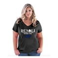 thumbnail image 1 of Normal is Boring - Women's Plus Size V-neck T-Shirt, up to Size 28 - Denali National Park, 1 of 5