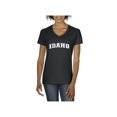 thumbnail image 1 of Normal is Boring - Women's T-Shirt V-Neck Short Sleeve, up to Women Size 3XL - Idaho, 1 of 5