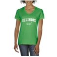thumbnail image 1 of Normal is Boring - Women's T-Shirt V-Neck Short Sleeve, up to Women Size 3XL - Illinois Girl, 1 of 5