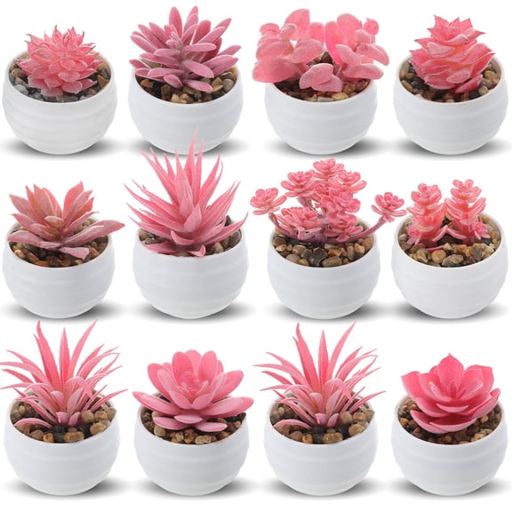 Norme 12 Pcs Valentines Pink Succulent Plants Artificial Pots Small Fake Succulents Bulk for Office Desk Pink Desk Accessories Home Wedding Decor Valentine's Day Gifts for Wife Girlfriend Women C113