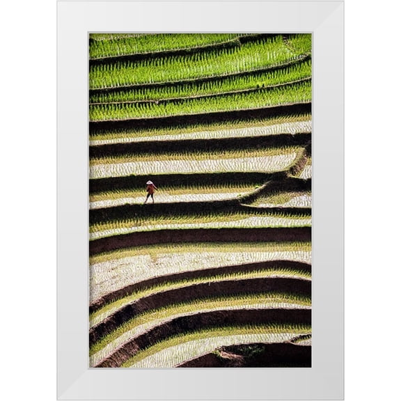 Norring, Tom 11x14 White Modern Wood Framed Museum Art Print Titled - Vietnam -Rice paddies in the highlands of Sapa