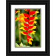 thumbnail image 1 of Norring, Tom 13x18 Black Ornate Wood Framed with Double Matting Museum Art Print Titled - Belize-Central America-Orange and red parrots beak flower, 1 of 4