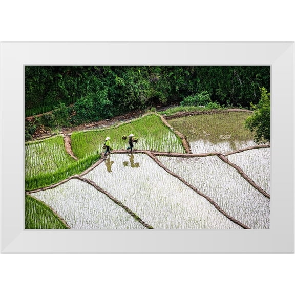Norring, Tom 14x11 White Modern Wood Framed Museum Art Print Titled - Vietnam -Rice paddies in the highlands of Sapa