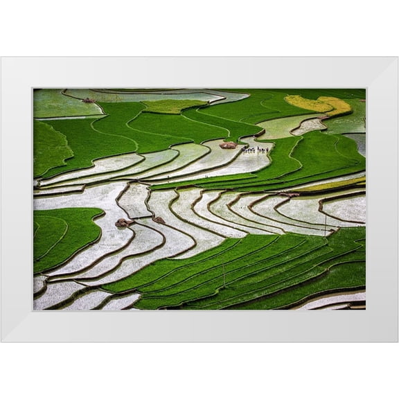 Norring, Tom 14x11 White Modern Wood Framed Museum Art Print Titled - Vietnam -Rice paddies in the highlands of Sapa