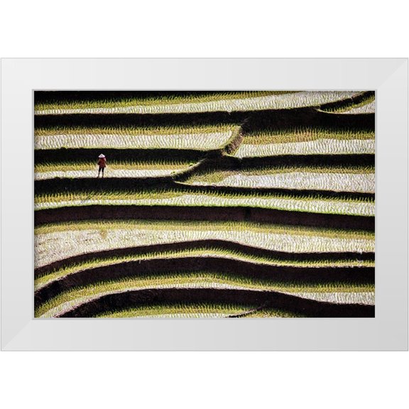 Norring, Tom 14x11 White Modern Wood Framed Museum Art Print Titled - Vietnam -Rice paddies in the highlands of Sapa