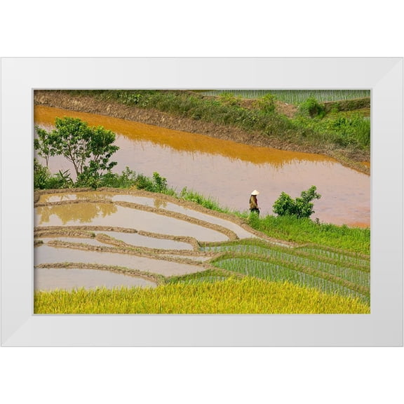 Norring, Tom 14x11 White Modern Wood Framed Museum Art Print Titled - Vietnam -Rice paddies in the highlands of Sapa