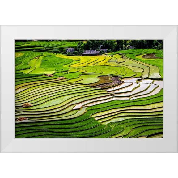 Norring, Tom 14x11 White Modern Wood Framed Museum Art Print Titled - Vietnam -Rice paddies in the highlands of Sapa