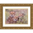 thumbnail image 1 of Norring, Tom 18x13 Gold Ornate Wood Framed with Double Matting Museum Art Print Titled - Cheetah cubs trying to hide behind bush-but too curious to stay in hiding-Serengeti-Tanzania-Africa, 1 of 4