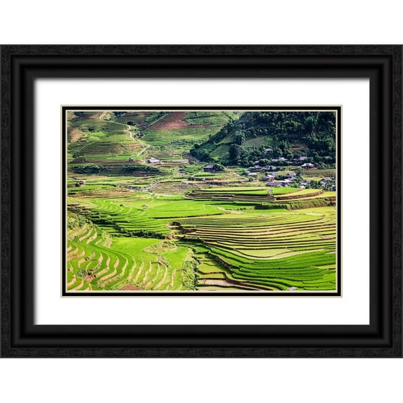 Norring, Tom 24x17 Black Ornate Wood Framed with Double Matting Museum Art Print Titled - Vietnam -Rice paddies in the highlands of Sapa