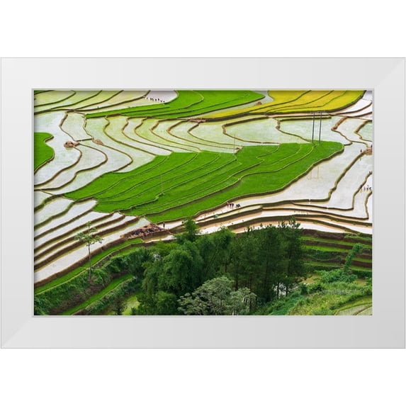 Norring, Tom 32x23 White Modern Wood Framed Museum Art Print Titled - Vietnam -Rice paddies in the highlands of Sapa