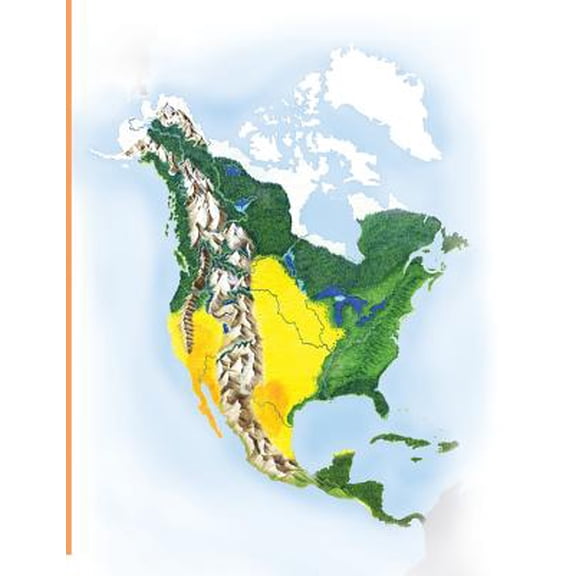Pre-Owned North America