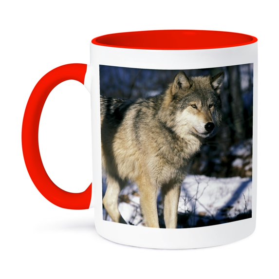 North America, Usa, Minnesota. Wolf (Canis Lupus) - Us24 Gje0011 - Gavriel Jecan, 11oz Two-Tone Red Mug