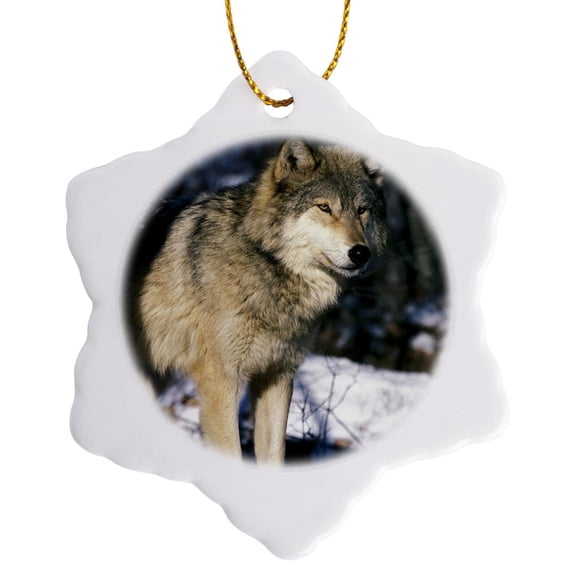 North America, Usa, Minnesota. Wolf (Canis Lupus) - Us24 Gje0011 - Gavriel Jecan, 3 inch Snowflake Porcelain Ornament