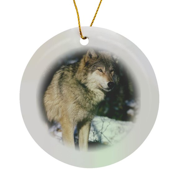 North America, Usa, Minnesota. Wolf (Canis Lupus) - Us24 Gje0011 - Gavriel Jecan, Circle Porcelain Ornament