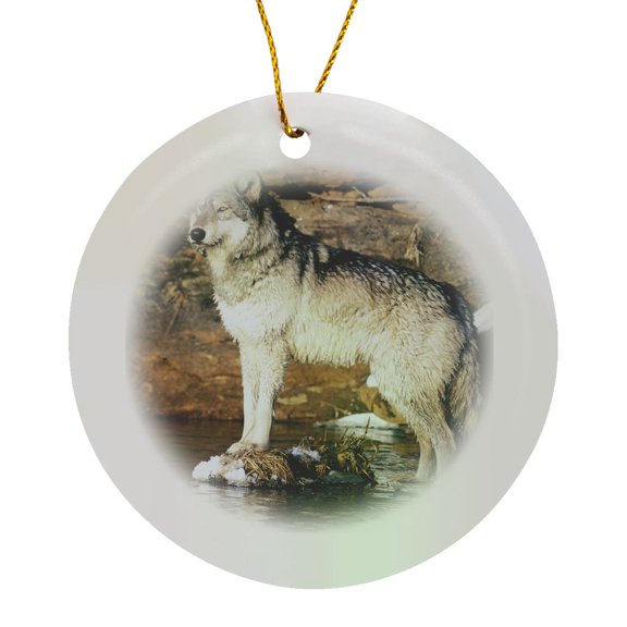 3drose, North America, Usa, Minnesota. Wolf (canis Lupus) - Us24 Gje0024 - Gavriel Jecan, Circle Porcelain Ornament