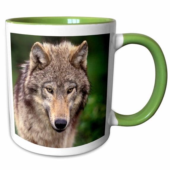3drose, North America, Usa, Montana. Wolf Wildlife - Us27 Tve0006 - Tom Vezo, 11oz Two-tone Green Mug
