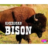 North American Animals American Bison, (Paperback) - Walmart.com