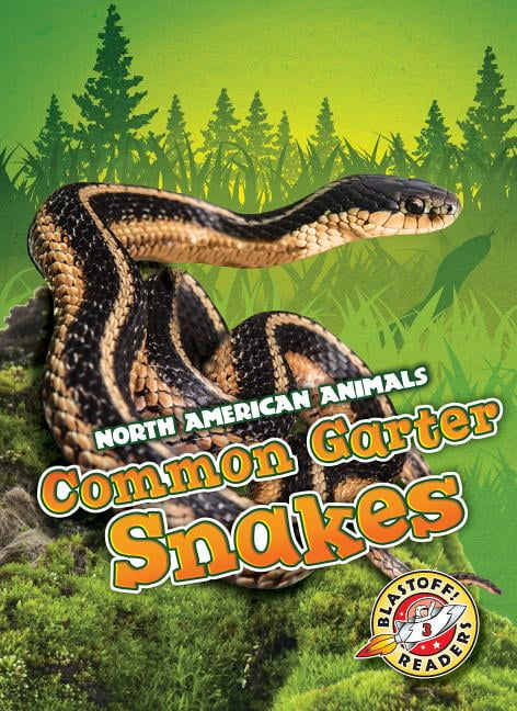 North American Animals Common Garter Snakes, (Hardcover)