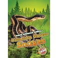 thumbnail image 1 of North American Animals Common Garter Snakes, (Hardcover), 1 of 1