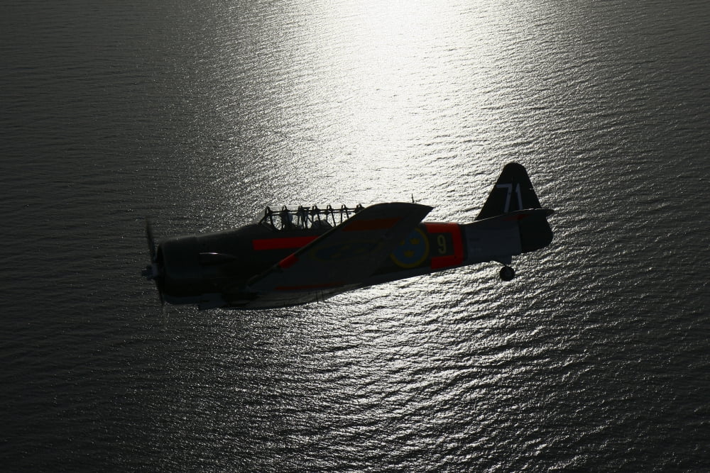 North American Aviation T-6 Texan trainer warbird in Swedish Air Force colors Canvas Art - Daniel KarlssonStocktrek Images (35 x 24)