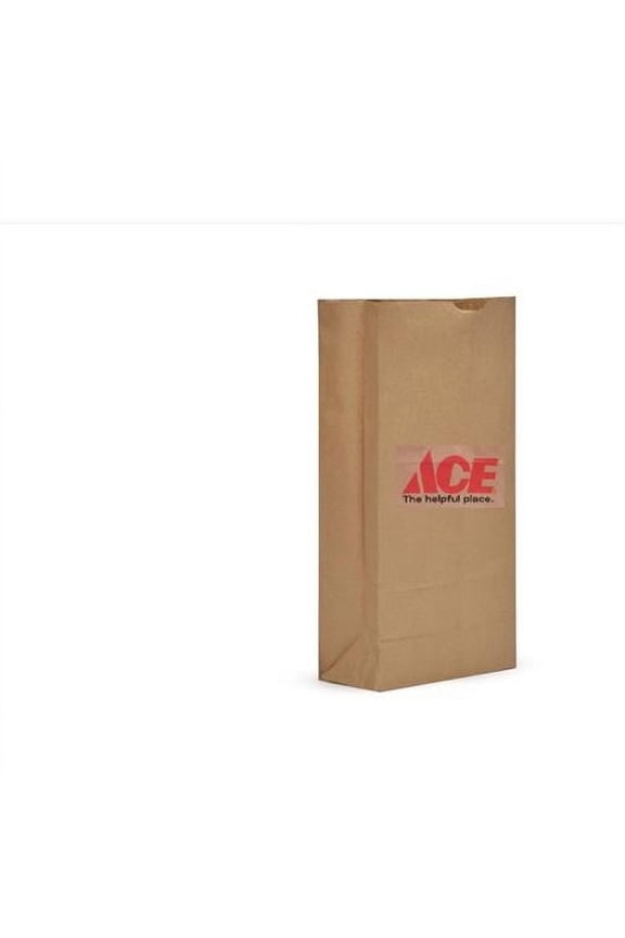 TALL BAG KRAFT ACE (Pack of 1)