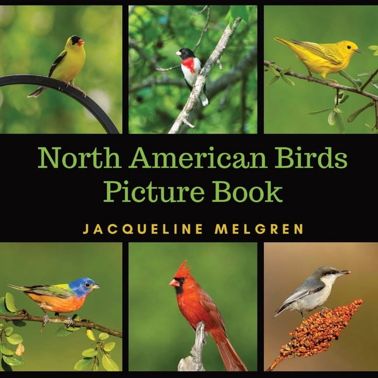 North American Birds Picture Book: Dementia Activities for Seniors (30 Premium Pictures on 70lb Paper With Names), (Paperback)