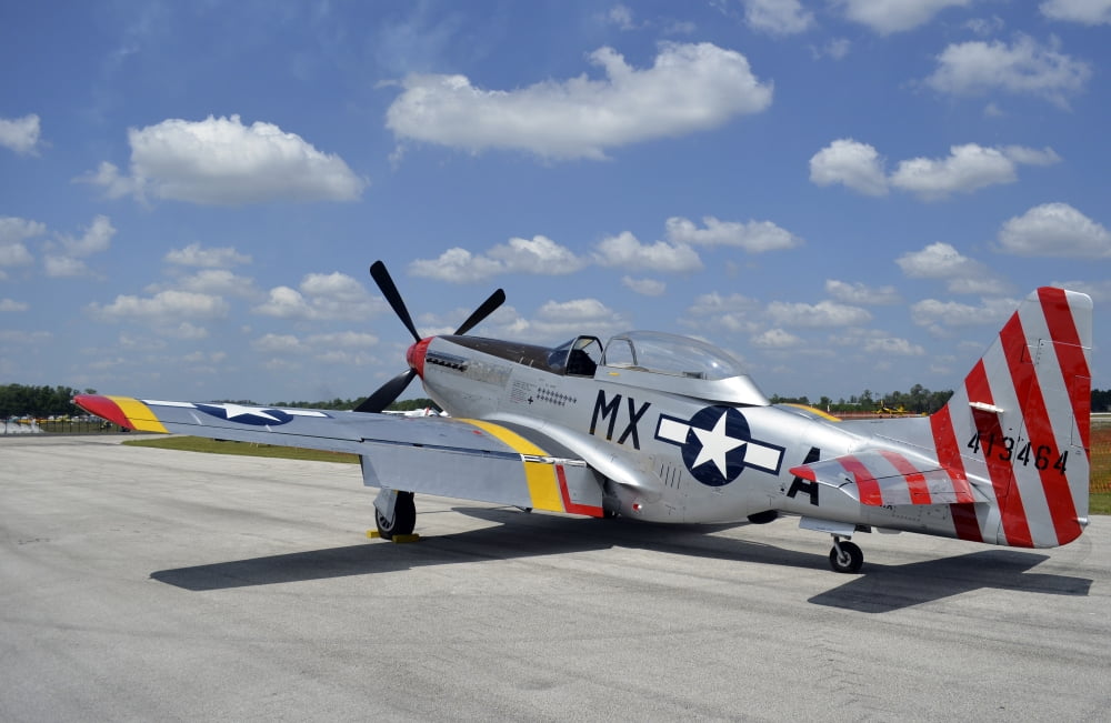 North American F-51D Mustang Canvas Art - Stocktrek Images (35 x 23)