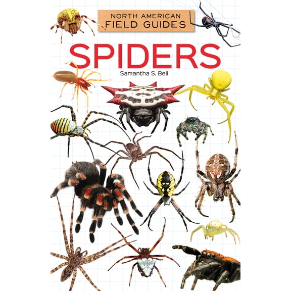 North American Field Guides Set 4 Spiders, (Hardcover)