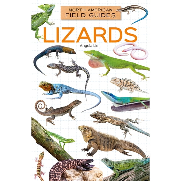 North American Field Guides Set 5 Lizards, (Hardcover)