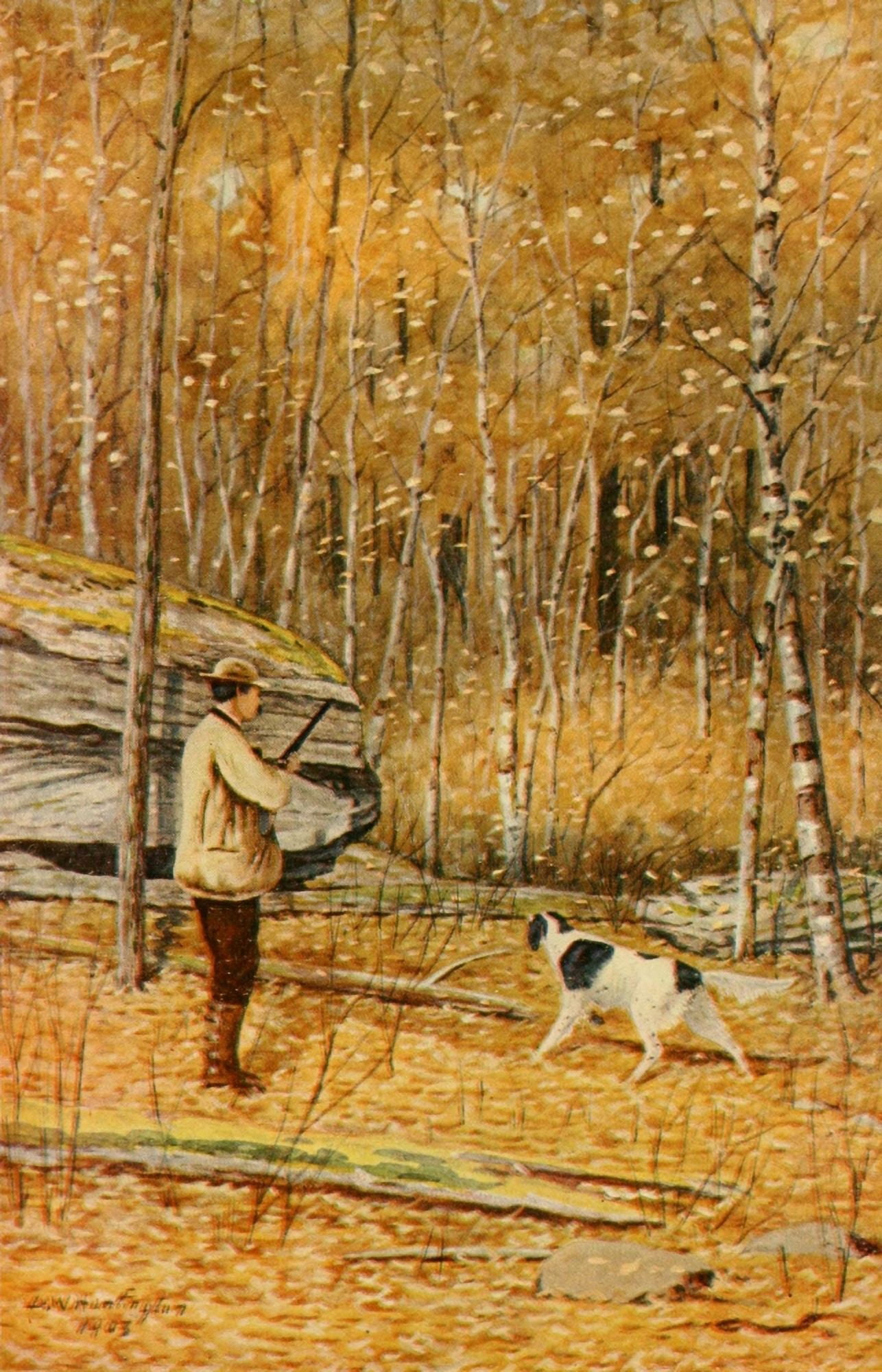 North American Game Birds 1903 Difficult Shot Canvas Art - DW Huntington (24 x 36)