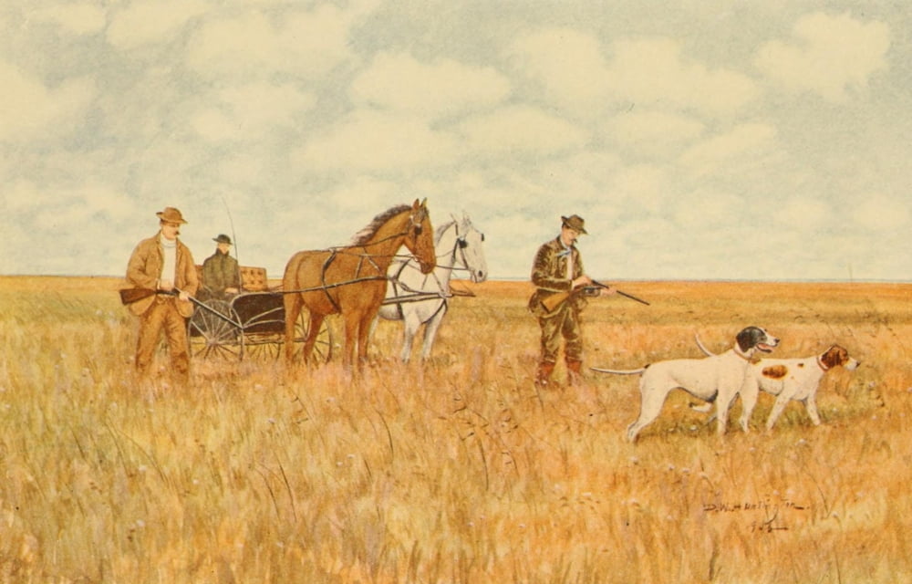 North American Game Birds 1903 Grouse Shooting Canvas Art - DW Huntington (24 x 36)