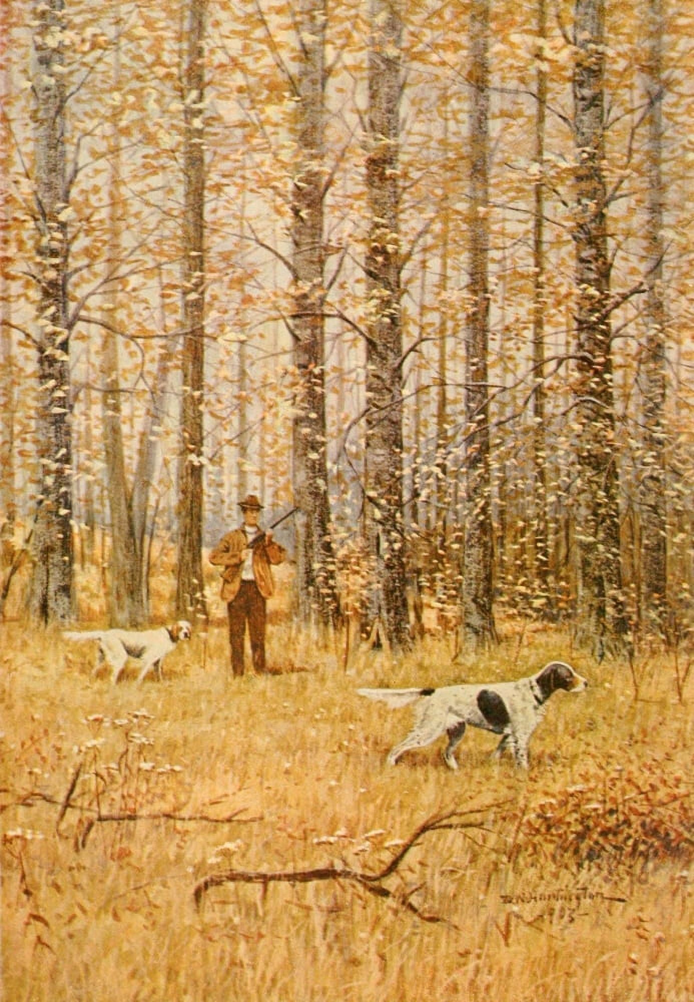 North American Game Birds 1903 Partridge Shooting Canvas Art - DW Huntington (24 x 36)