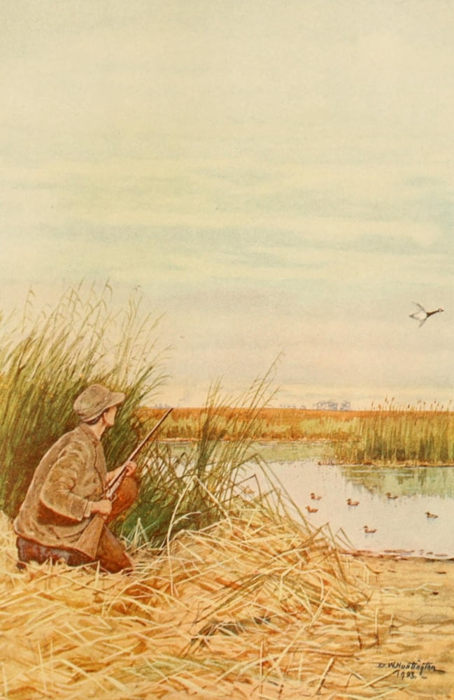 North American Game Birds 1903 Shot behind him Canvas Art - DW Huntington (24 x 36)