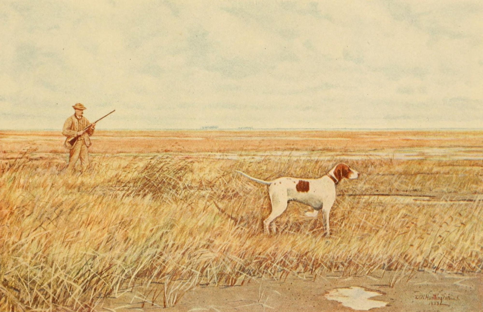 North American Game Birds 1903 Snipe Shooting Canvas Art - DW Huntington (18 x 24)