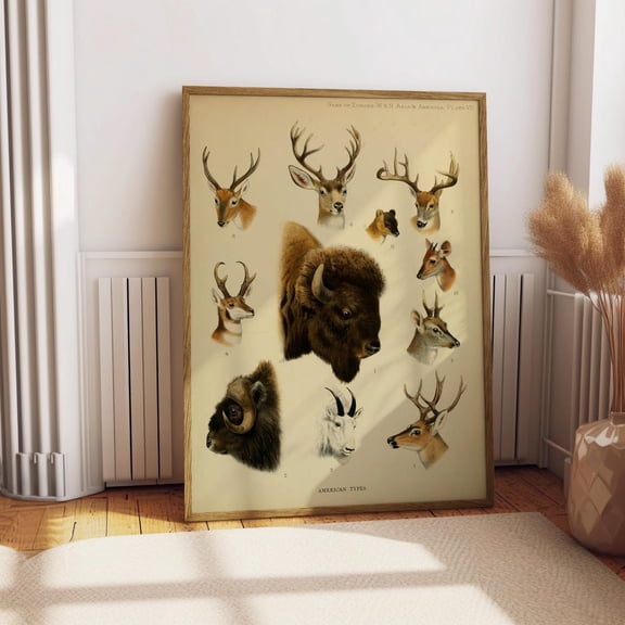 North American Game Vintage Wildlife Chart Antique Deer Bison Hunting Rustic Lodge Animal Illustration Graphic Poster Unframed Paper Print