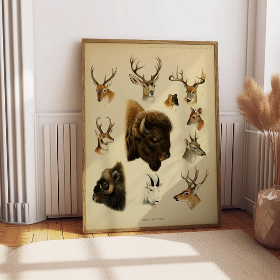 North American Game Vintage Wildlife Chart Antique Deer Bison Hunting Rustic Lodge Animal Illustration Graphic Poster Unframed Paper Print