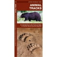 thumbnail image 1 of North American Nature Guides: Animal Tracks: A Folding Pocket Guide to the Tracks & Signs of Familiar North American Species (Other), 1 of 2