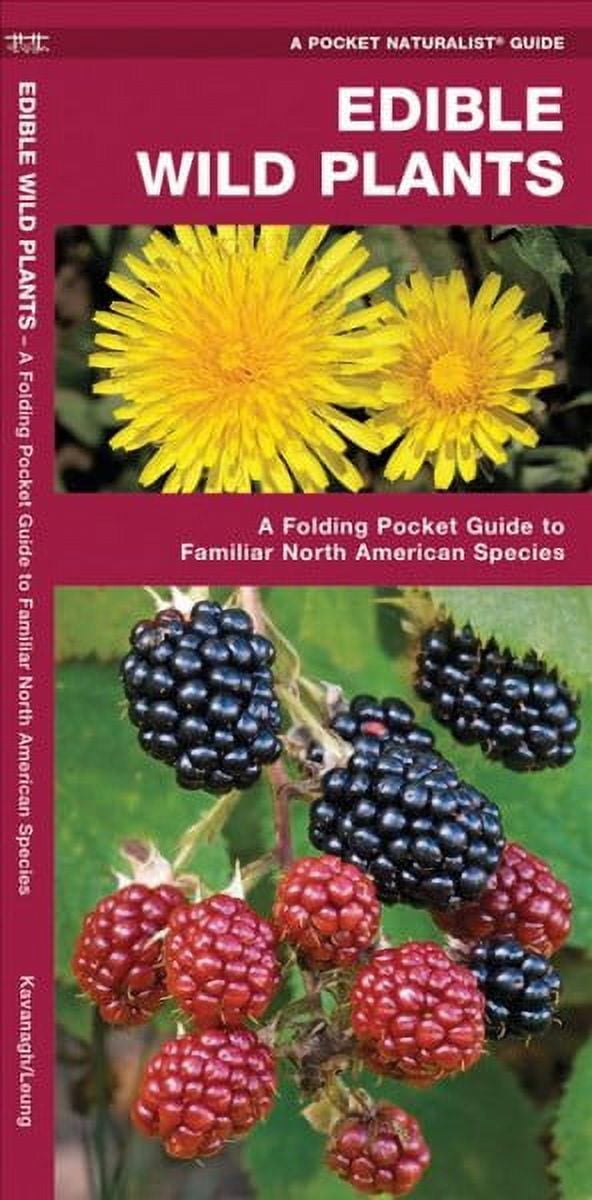 SENIOR CONSULTANT JAMES KAVANAGH; WATERFORD PRESS; RAYMOND LEUNG North American Nature Guides: Edible Wild Plants: A Folding Pocket Guide to Familiar North American Species (Other)